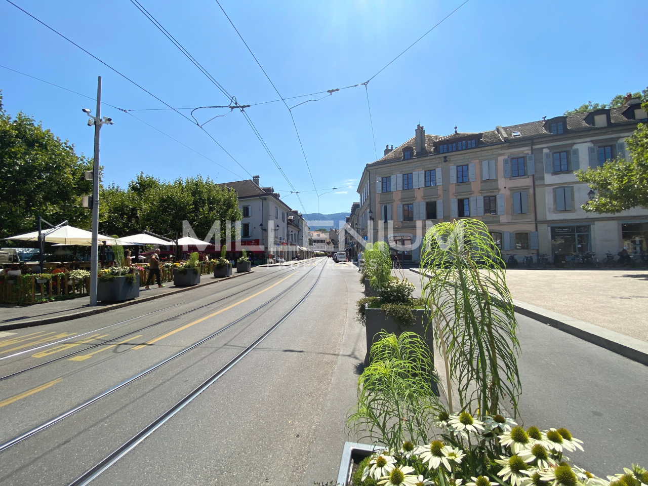 3MBlm_carouge-immobilier-geneve-suisse.png