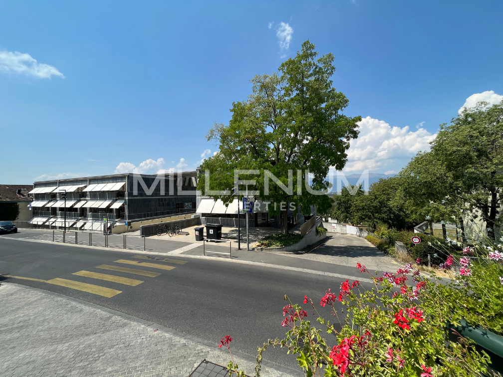 immobilier-grand-saconnex-geneve.png