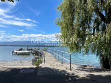 prix-immobilier-collonge-bellerive-geneve.png