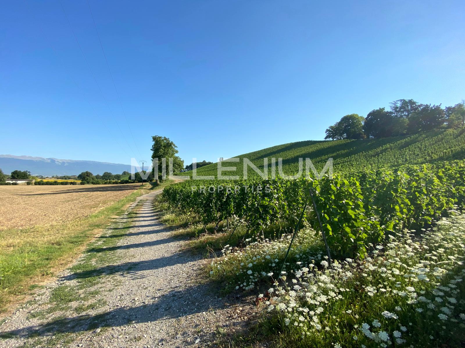 vignes-soral-geneve-paysage.png