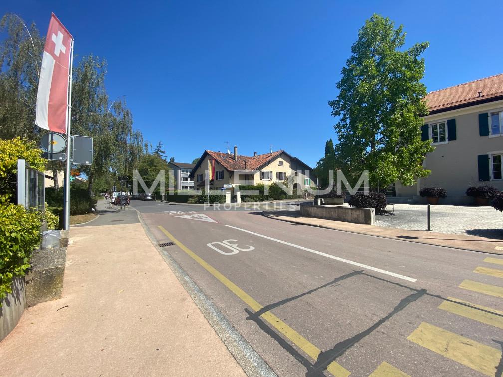immobilier-puplinge-millenium-properties.png