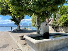 bord-lac-collonge-bellerive-geneve.png