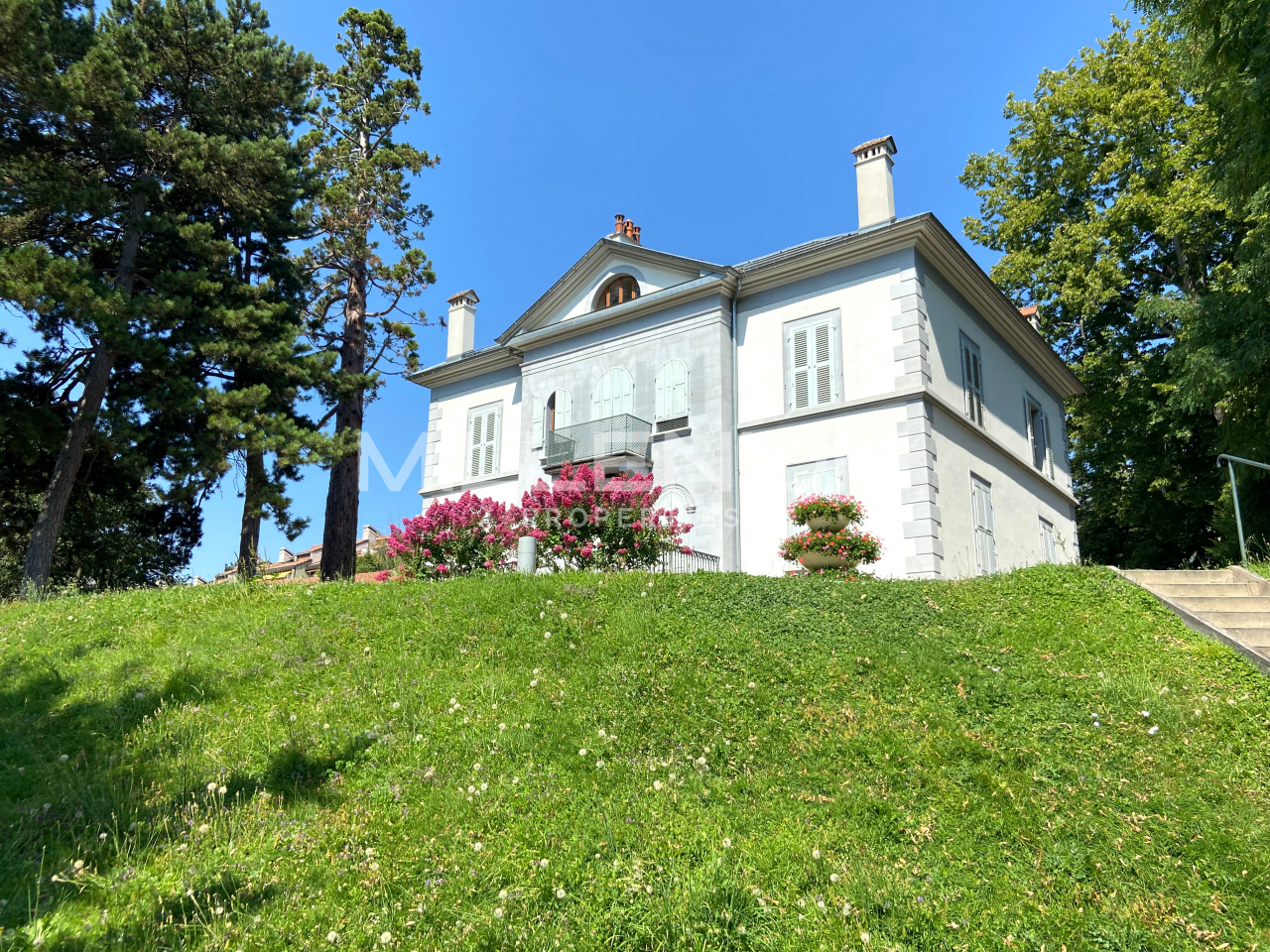 Agence immobilière Confignon