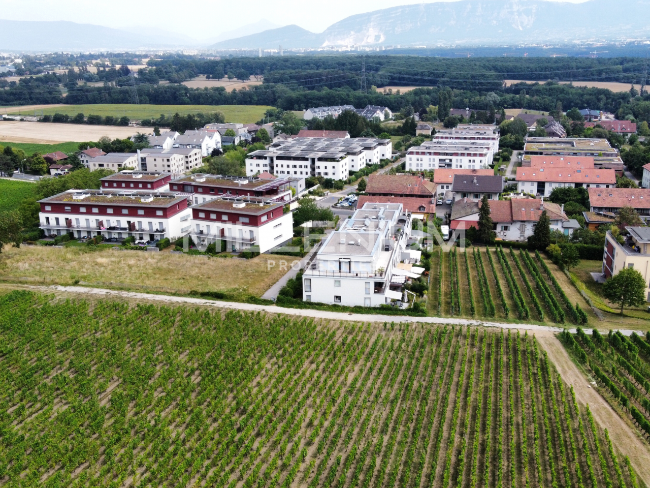 Agence immobilière Satigny